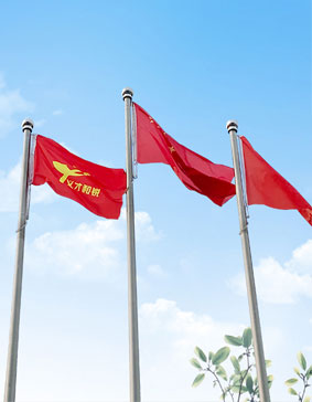 網(wǎng)上商城網(wǎng)站建設(shè)