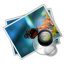 手機網站建設多少錢